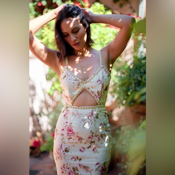 V. Chapman The Luna Dress in English Rose size 8 - Picture 5 of 7